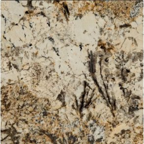 Caravelas Gold - granite countertop